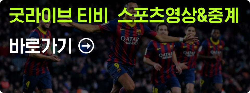 스포츠 영상&중계
