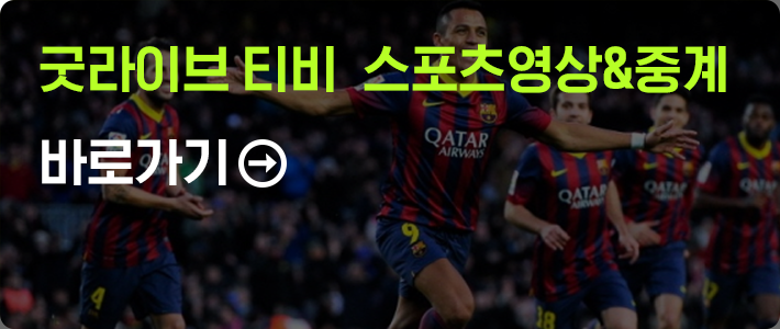 스포츠 영상&중계